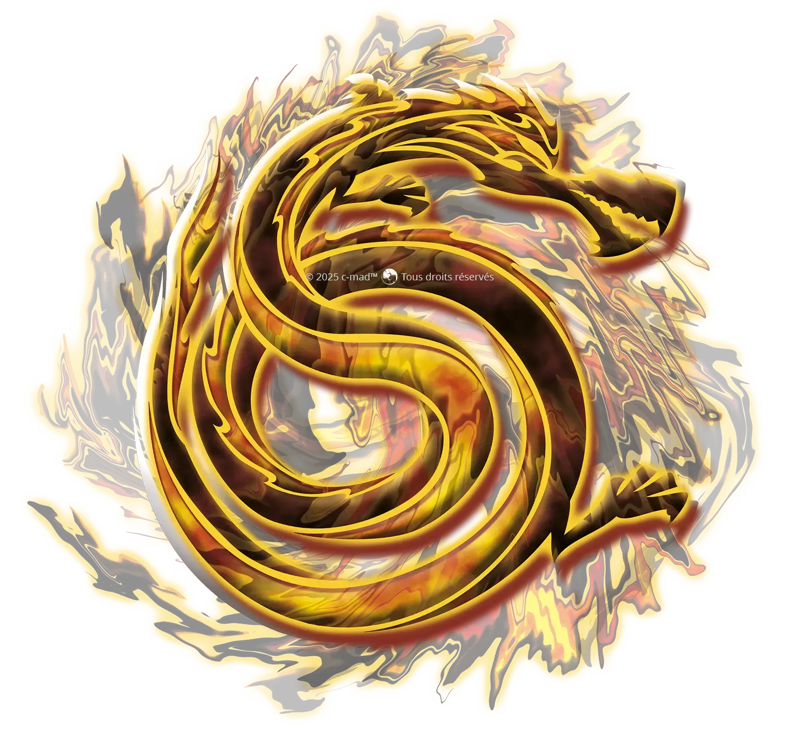 13_dragon_rond_embleme.webp